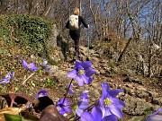 Castel Regina e Pizzo Cerro da Catremerio-13apr22- FOTOGALLERY